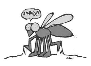 Wasp Deterrent, Toothbrush Case, Pothole Filler, and Other Country Lore